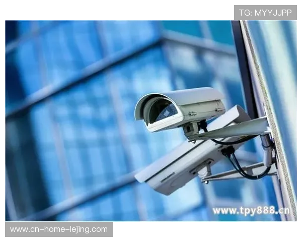 生物识别技术在演进阶段 大幅强化了体育活动管理安防等级 生物识别技术在演进阶段 大幅强化了体育活动管理安防等级